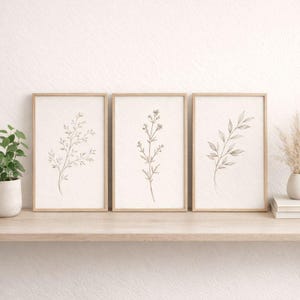 Può includere: Tre stampe botaniche incorniciate con delicati disegni a tratto di vari steli e foglie di piante. L'opera d'arte è in tonalità neutre, con uno sfondo beige chiaro e cornici in legno. Le stampe sono esposte su una mensola di legno chiaro.
