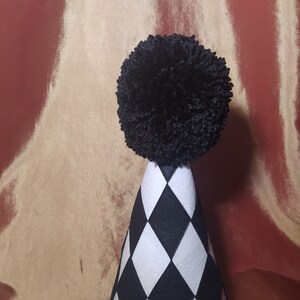 May include: A black and white checkered party hat with a black pom-pom on top.