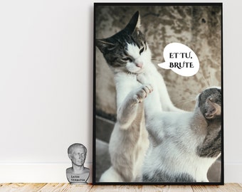 Famous Latin Quote and Cute Cat Unique Print Gift Suitable - Etsy Australia