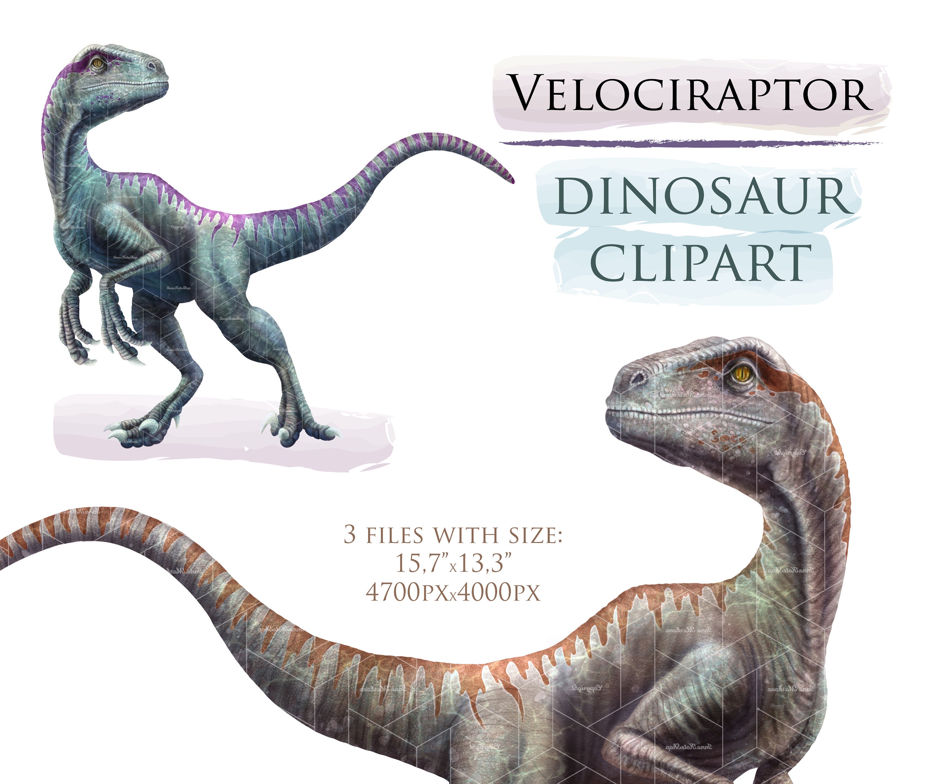 Velociraptor Stencil - Etsy