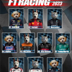 Mercydes, Formula Racing Car, Funny Pet Lover Gift, F1 Driver Team Pet ...