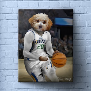 Utah jazz hotsell dog jersey