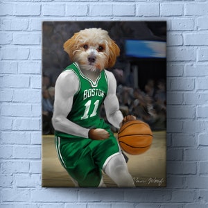 Celtics dog jersey sale