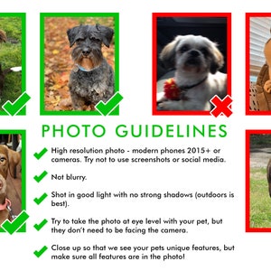 May include: A guide with photo examples of what makes a good pet photo for an online listing. The guide includes tips like using a high-resolution photo, avoiding blurriness, and taking the photo at eye level with the pet.