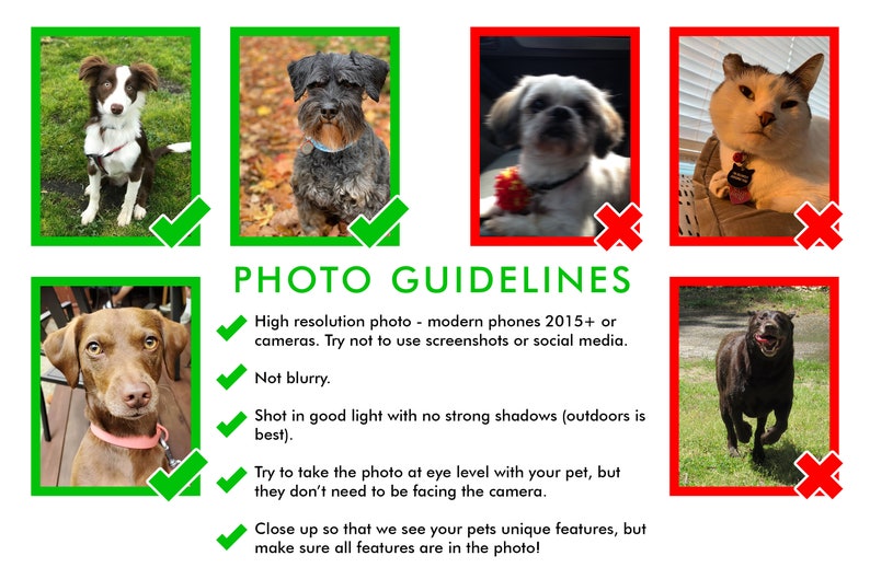 May include: A guide with photo examples of what makes a good pet photo for an online listing. The guide includes tips like using a high-resolution photo, avoiding blurriness, and taking the photo at eye level with the pet.