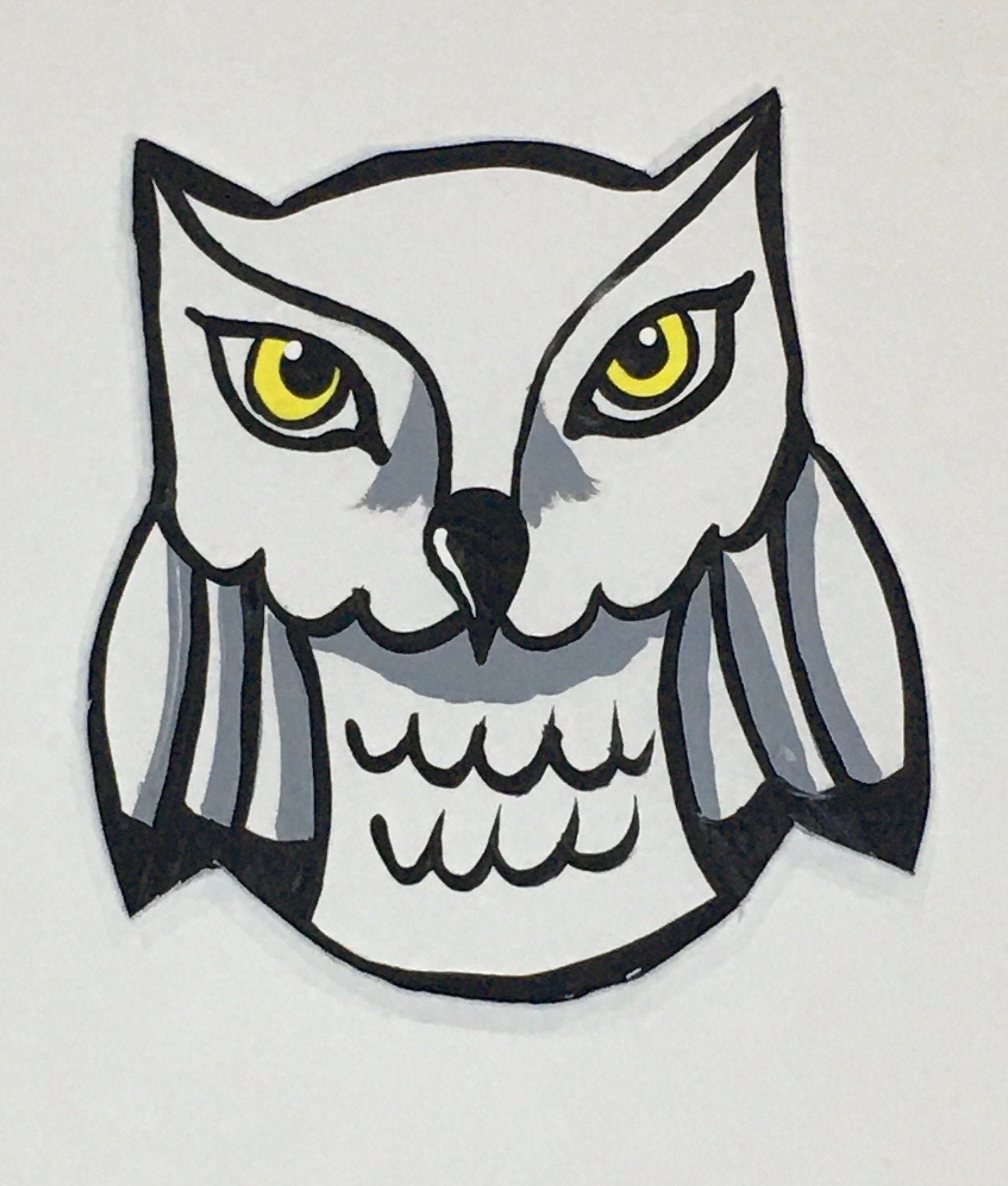 Harry Potter Hedwig Owl Paint By Numbers 