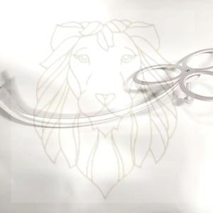 Mamaroo 1026 Toy Bar Compatible with Model 1026 / Toy Arm