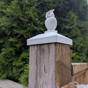 Fence Post Cap, Top, Cover with Bird, Owl