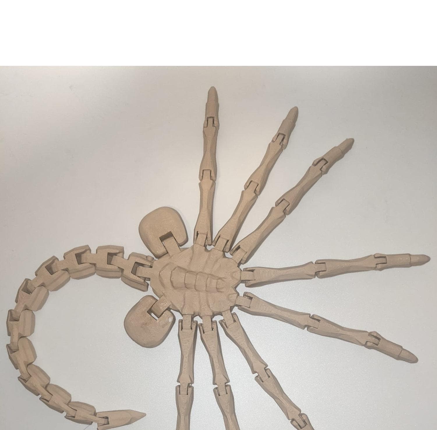 ALIEN FACE HUGGER 1:1 PVCモデル当時物デッドストック ALIEN FACE HUGGER 1:1 PVCモデル当時物デッドストック Life