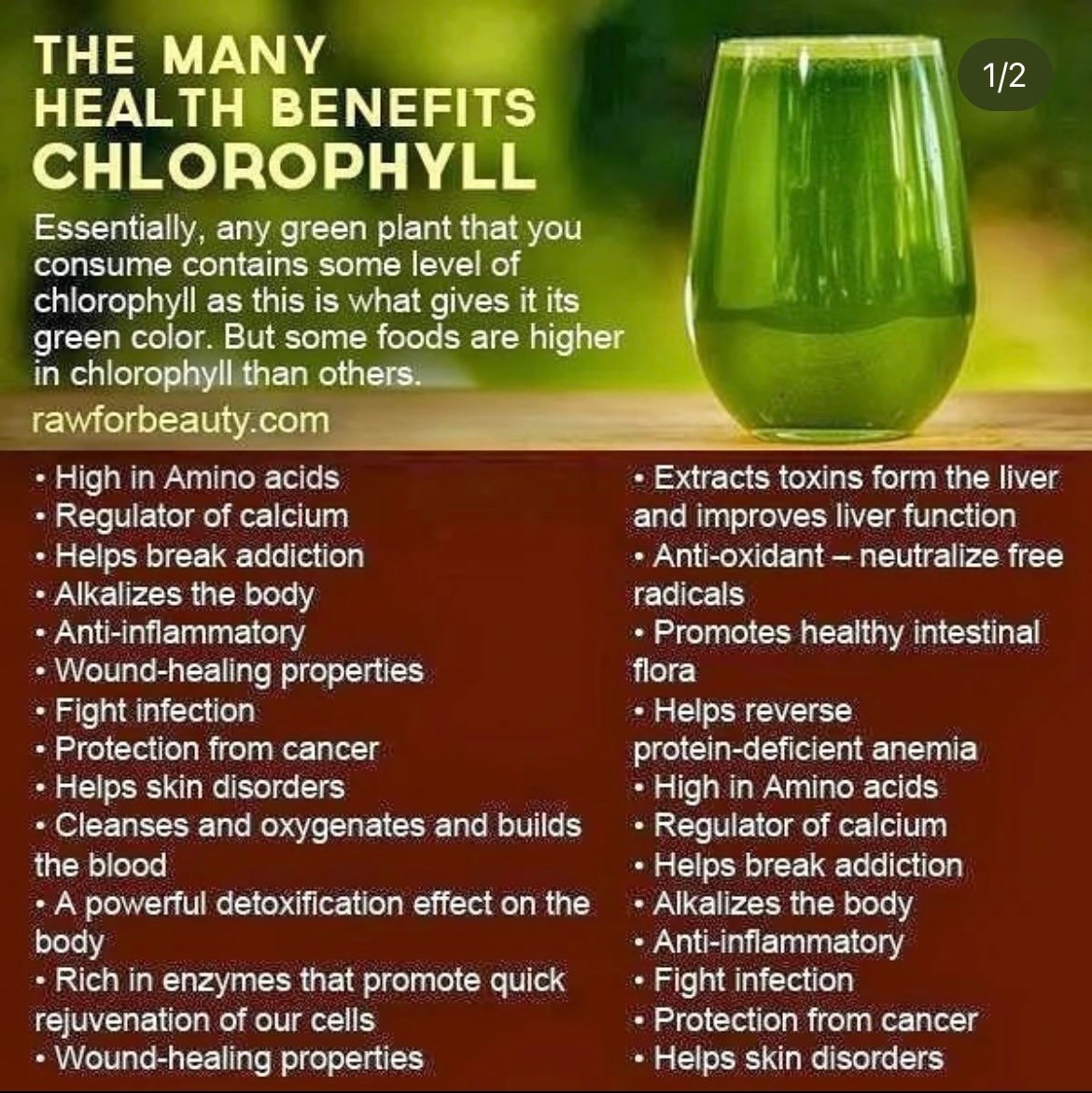What Is Chlorophyll Good For