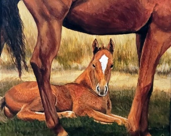 Foal resting with mama mare. 20x20 horse painting