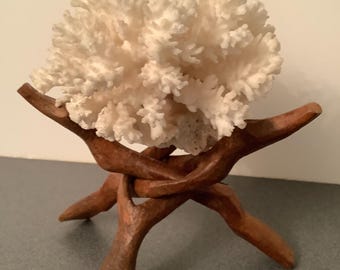 Grupo de coral blanco con soporte