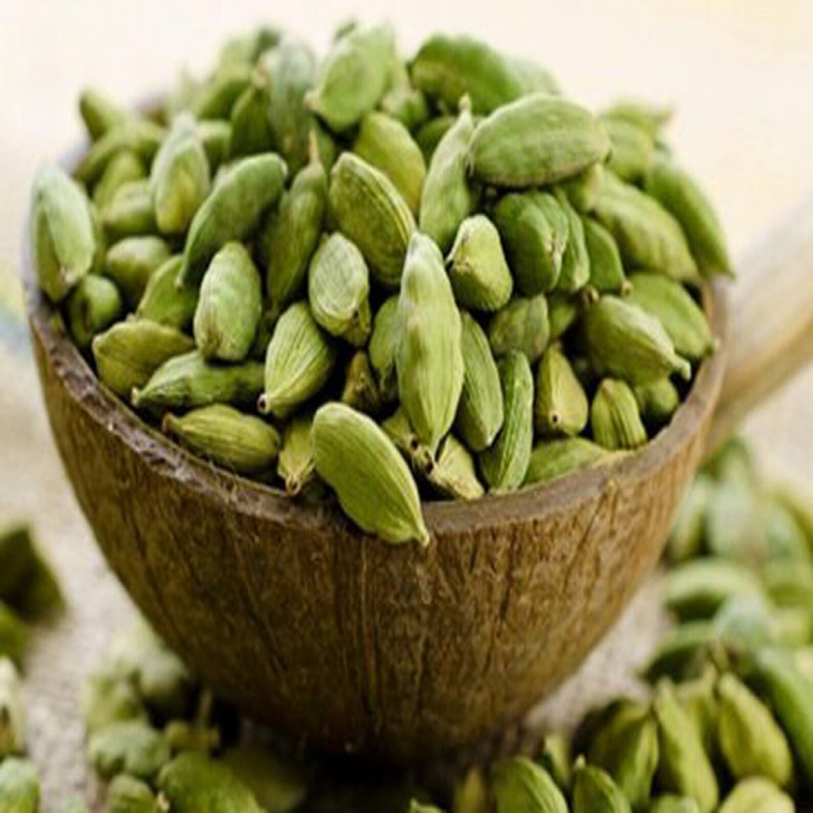 2Oz Elettaria cardamomum Seeds green cardamom Seeds true Etsy