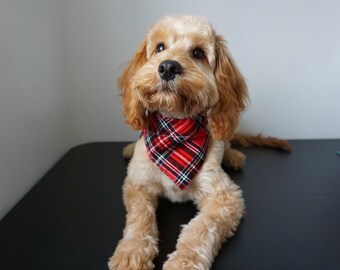 cockapoo bandana