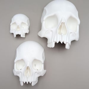 Peut inclure: Trois décorations murales en forme de crânes blancs de tailles différentes sont présentées sur un fond gris. Les crânes présentent des détails, notamment des orbites, des cavités nasales et des dents. Le plus grand crâne est en haut à droite, le plus petit à gauche.