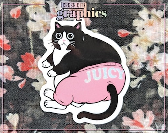 Cat Gato Sticker Decal Meme - Fat Chonky Chonker Tuxedo Cat Wearing Sweatpants with Glitter - 2.5"x3" - Weather and Water Resistant