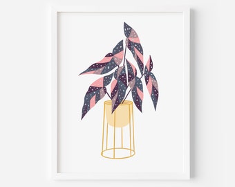 Present for a plant lover /Begonia Maculata Art Print / House plant print / plastic free gift / eco/ choice of colour