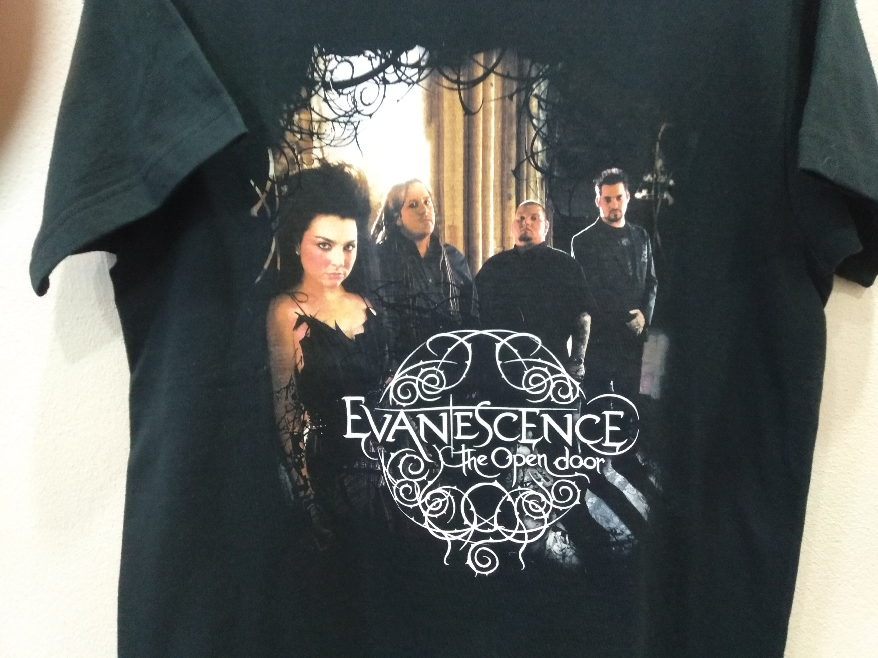 Vintage Y2k Evanescence American Rock Band Black Medium T Shirt