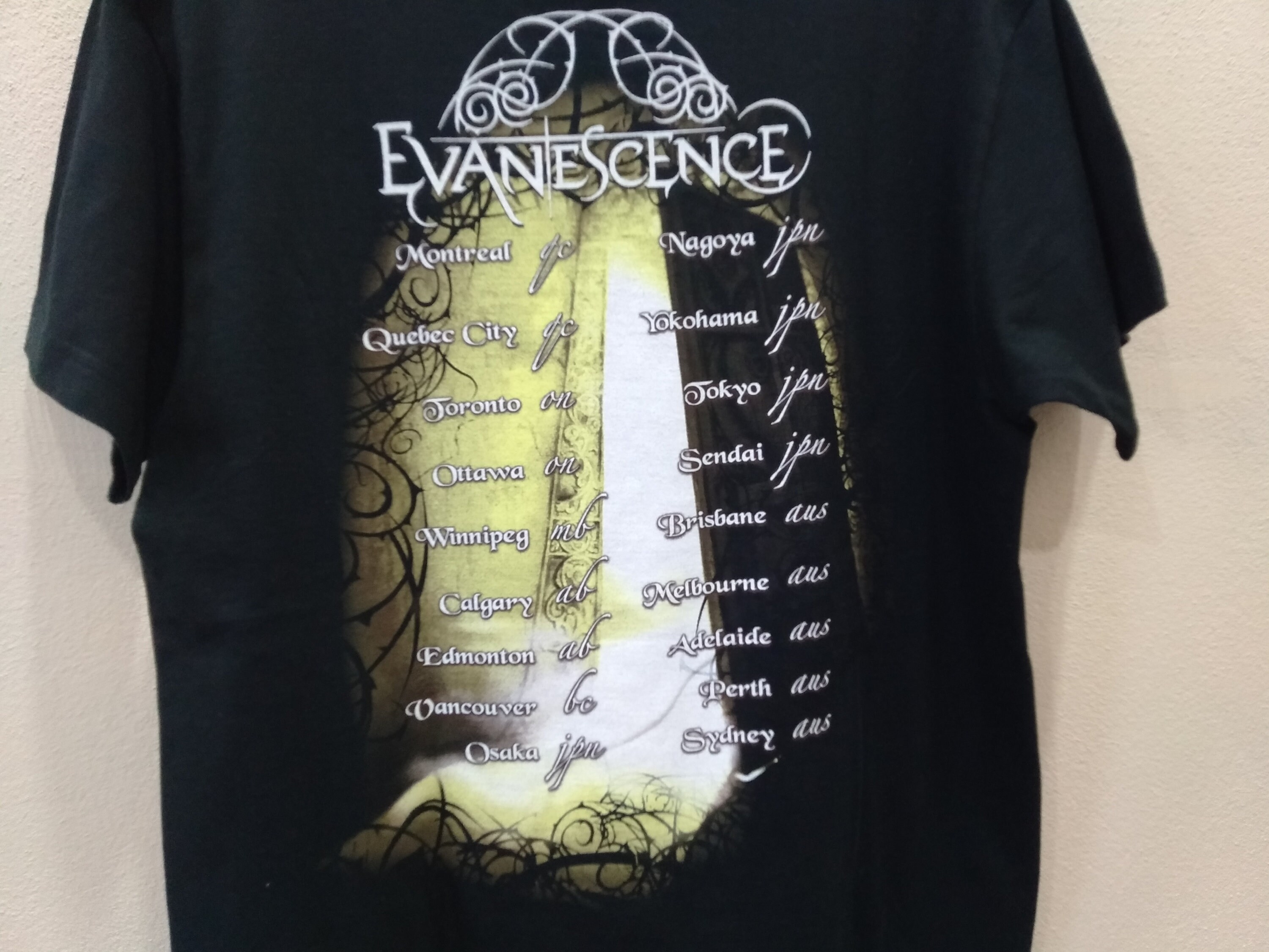 Vintage Y2k Evanescence American Rock Band Black Medium T Shirt