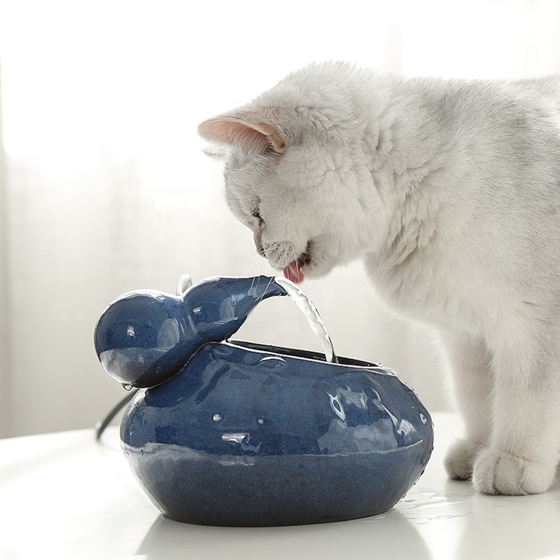 Cat Water Fountain Ceramic Stainless Water Bowl with Etsy