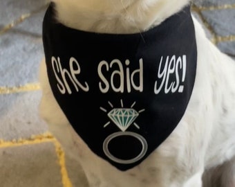 May include: A white and brown dog wearing a black bandana. The bandana has the text "She said YES!" in white script, along with a diamond ring graphic. The dog is sitting on a patterned surface.
