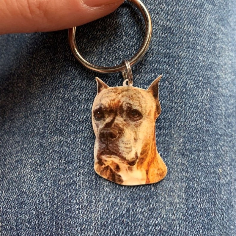 Engraved Stainless Pet Photo Keychain Custom Pet Keychain Etsy