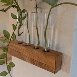 Propagation Station aus Akazienholz -  Wandhalterung mit Reagenzgläser