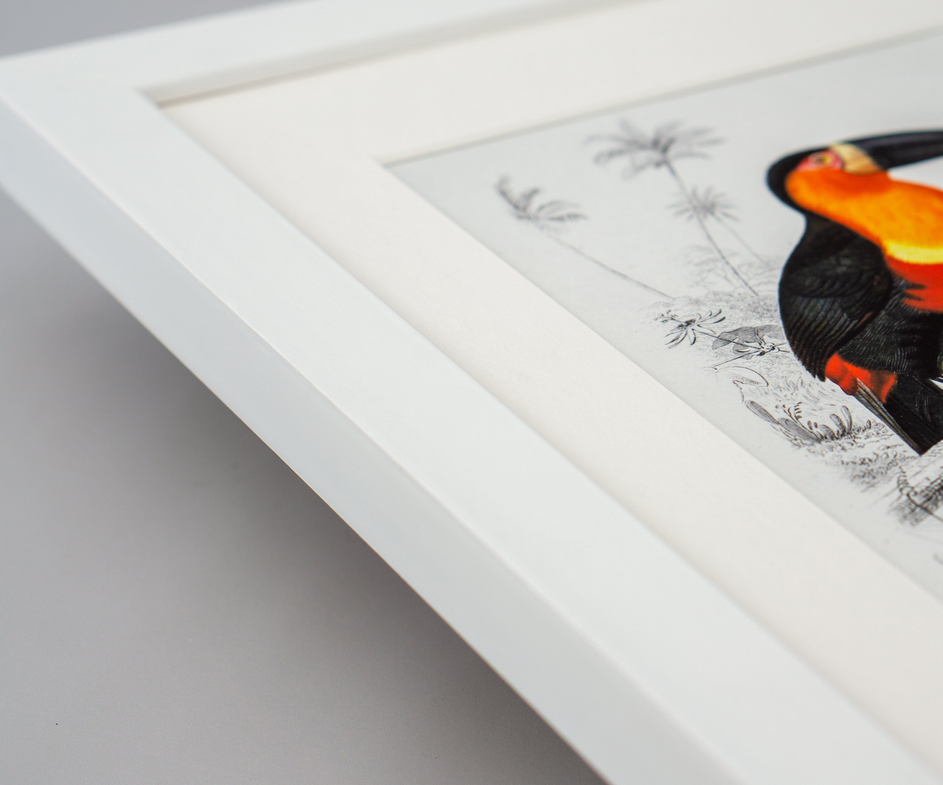 A4 / A3 / A2 / 10x8 / 11x14 / 12x16 / 16x20. White / Black Etsy