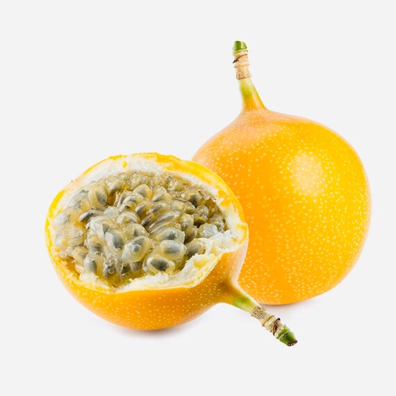 Granadilla Plant passiflora Ligularis Pre Sale Ship by Etsy