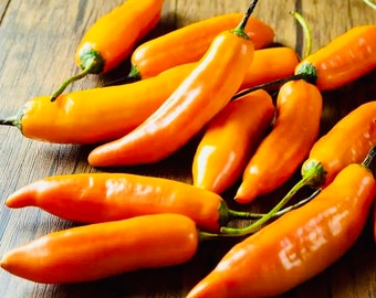 Aji Amarillo - Live Peruvian Pepper Plant  Ships on may 20th