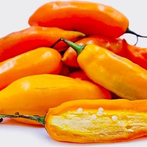 Aji amarillo pepper seeds (25+)