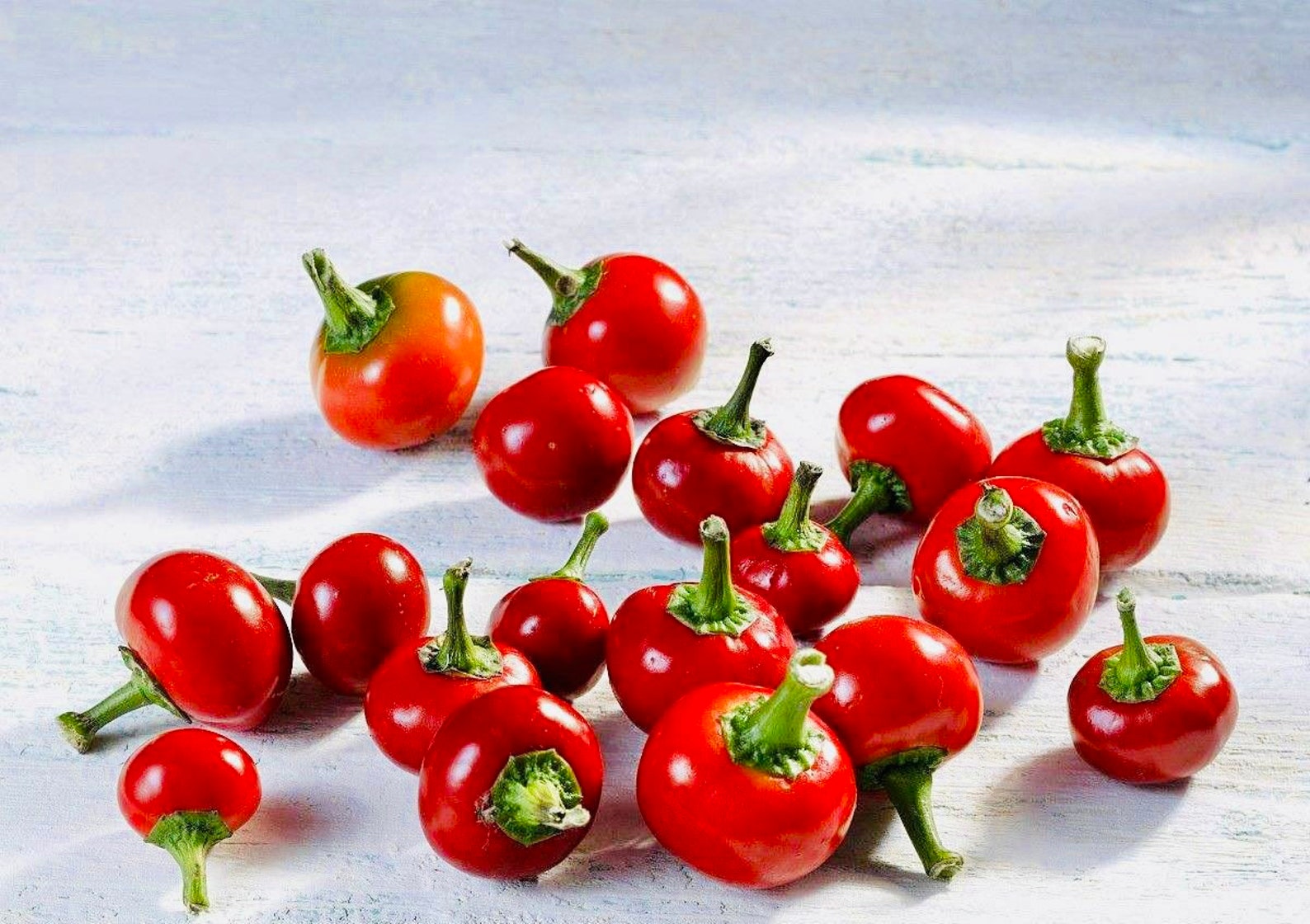Hot Cherry Bomb Pepper Seeds 10 Etsy