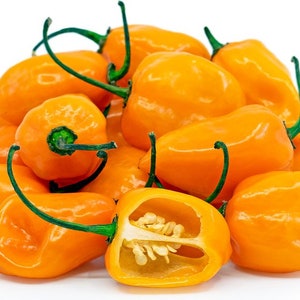 Orange Habanero Pepper Seeds (10ea)