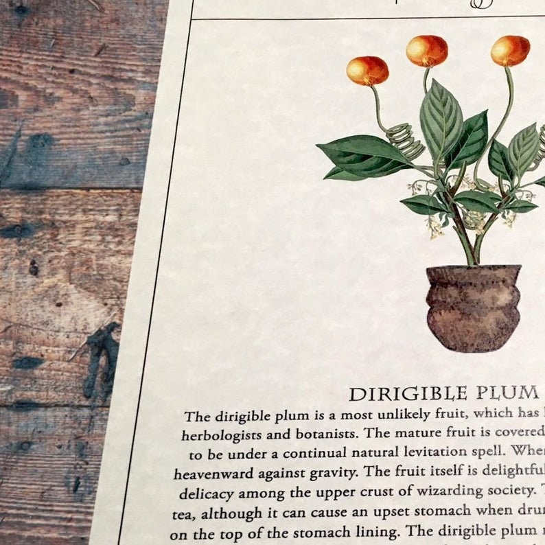 Dirigible Plum Tree Herbology Printable Wall Art Herbology Etsy