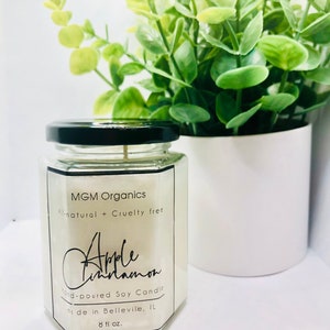 Apple Cinnamon Soy Candle || Premium scented Soy Candle || Hand Made || American Made || Fall Candle || Christmas Gift