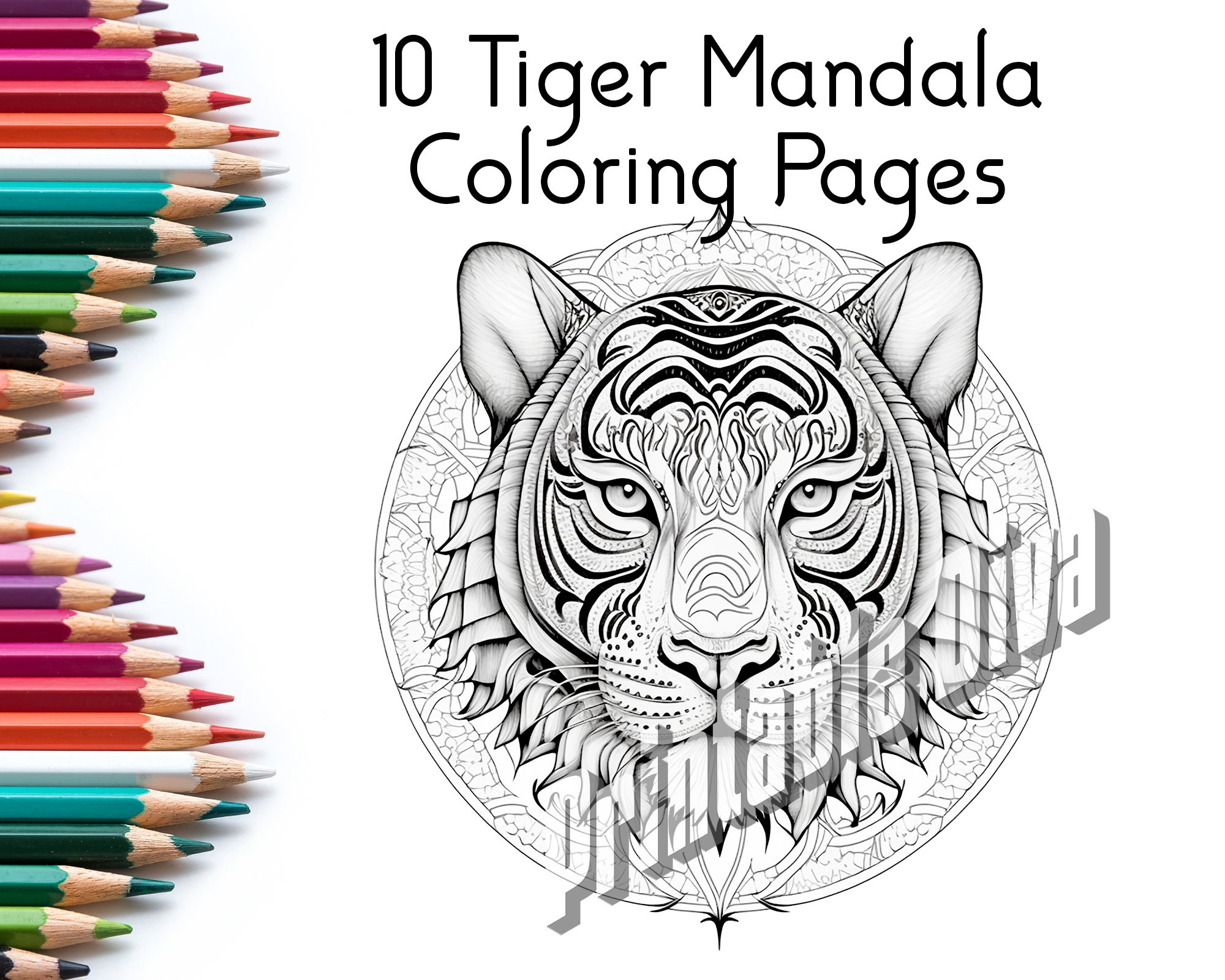 Tiger Mandalas For Coloring / Adult Coloring Pages / Tigers To Color / Fantasy Coloring / Instant Download PDF