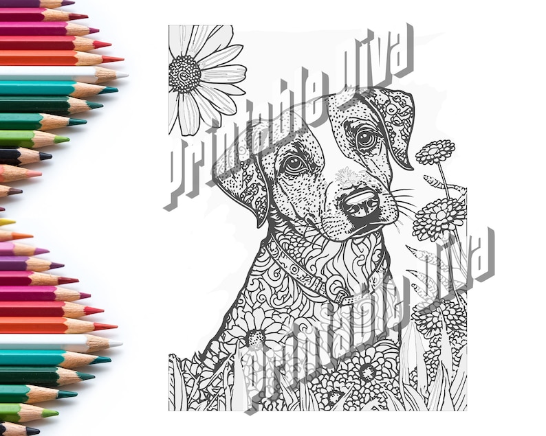 15 Dogs to Color / Adult Coloring Page / Instant Download / Intricate ...