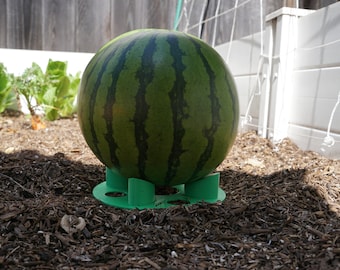 Melon/Squash Cradle, Plant Support