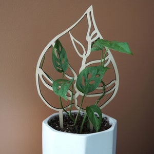 Houseplant Trellis
