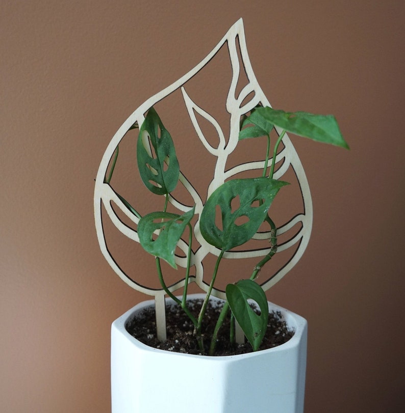 May include: A potted plant with green leaves and a decorative wooden leaf-shaped trellis. The white geometric pot contrasts with the brown background. The trellis is made of light-colored wood and has a cutout design.