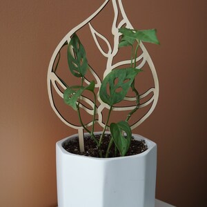 May include: A white geometric planter with a gold base holds a green plant with a wooden leaf-shaped trellis. The trellis is made of light-colored wood and has a cutout design. The plant has green leaves with holes.