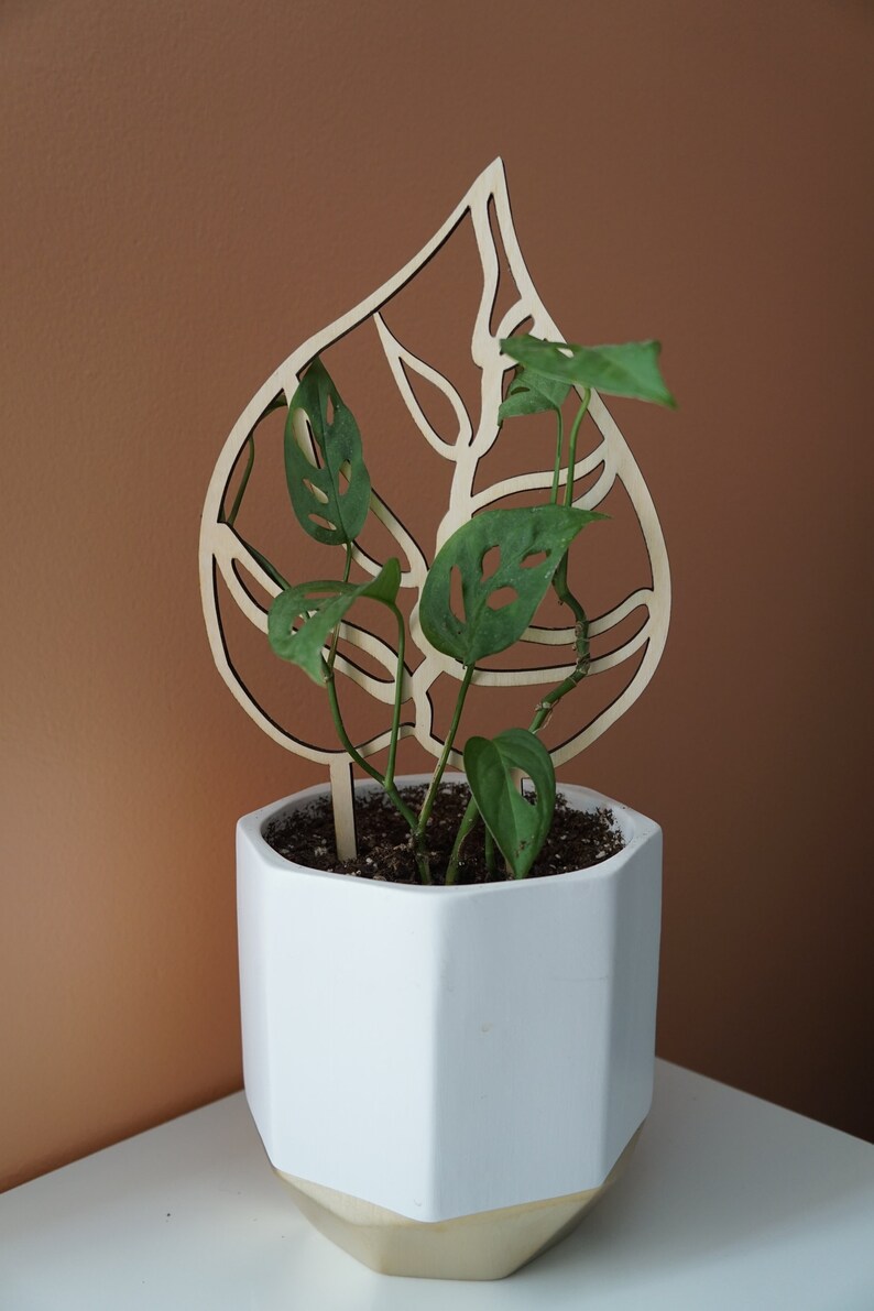May include: A white geometric planter with a gold base holds a green plant with a wooden leaf-shaped trellis. The trellis is made of light-colored wood and has a cutout design. The plant has green leaves with holes.