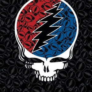 May include: A black and white graphic of a skull with a lightning bolt design. The skull is surrounded by a red and blue circle with a repeating lightning bolt pattern.