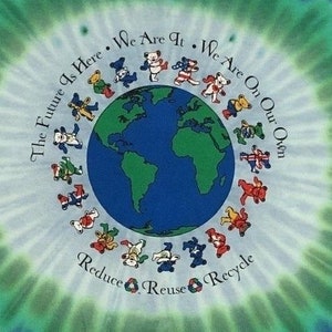 Grateful Dead Kids Dancing Bears Around The Earth - Grateful Dead Youth Flag Bears shirt  (size youth small, youth medium and youth large)
