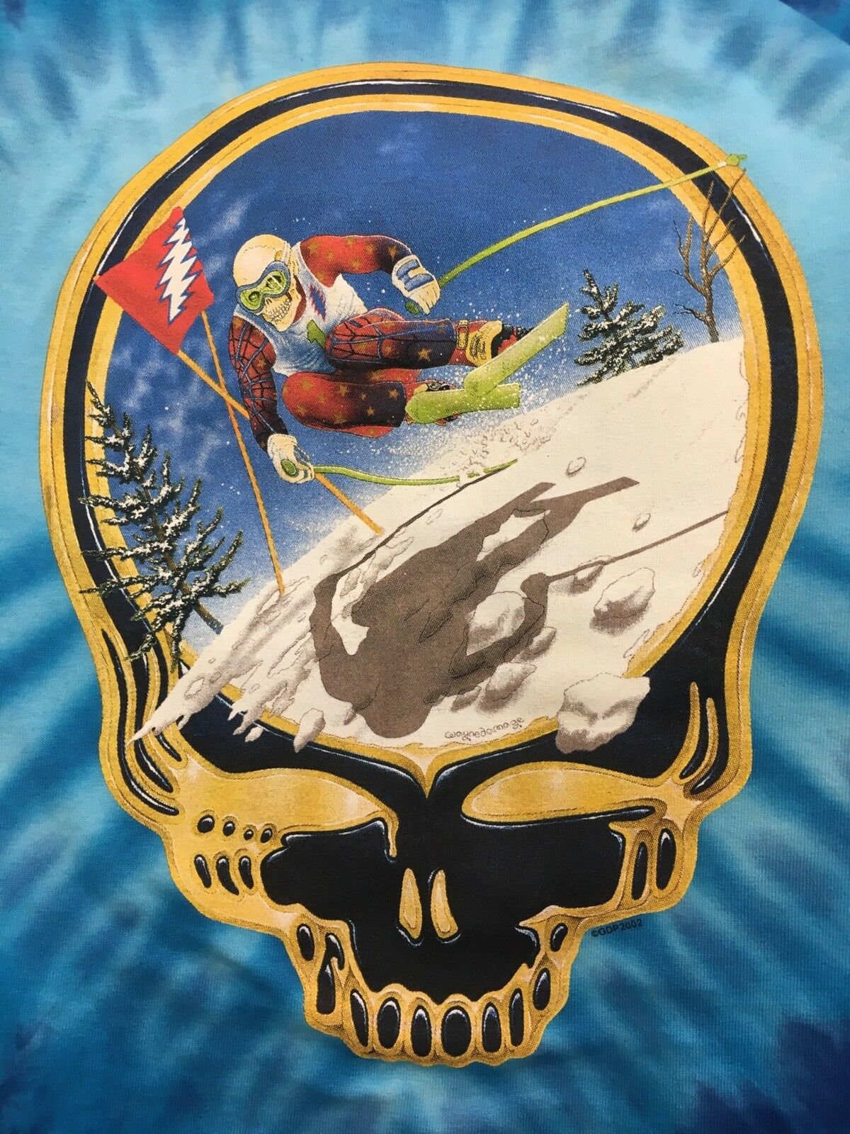 Gildan Men's T-Shirts Grateful Dead 