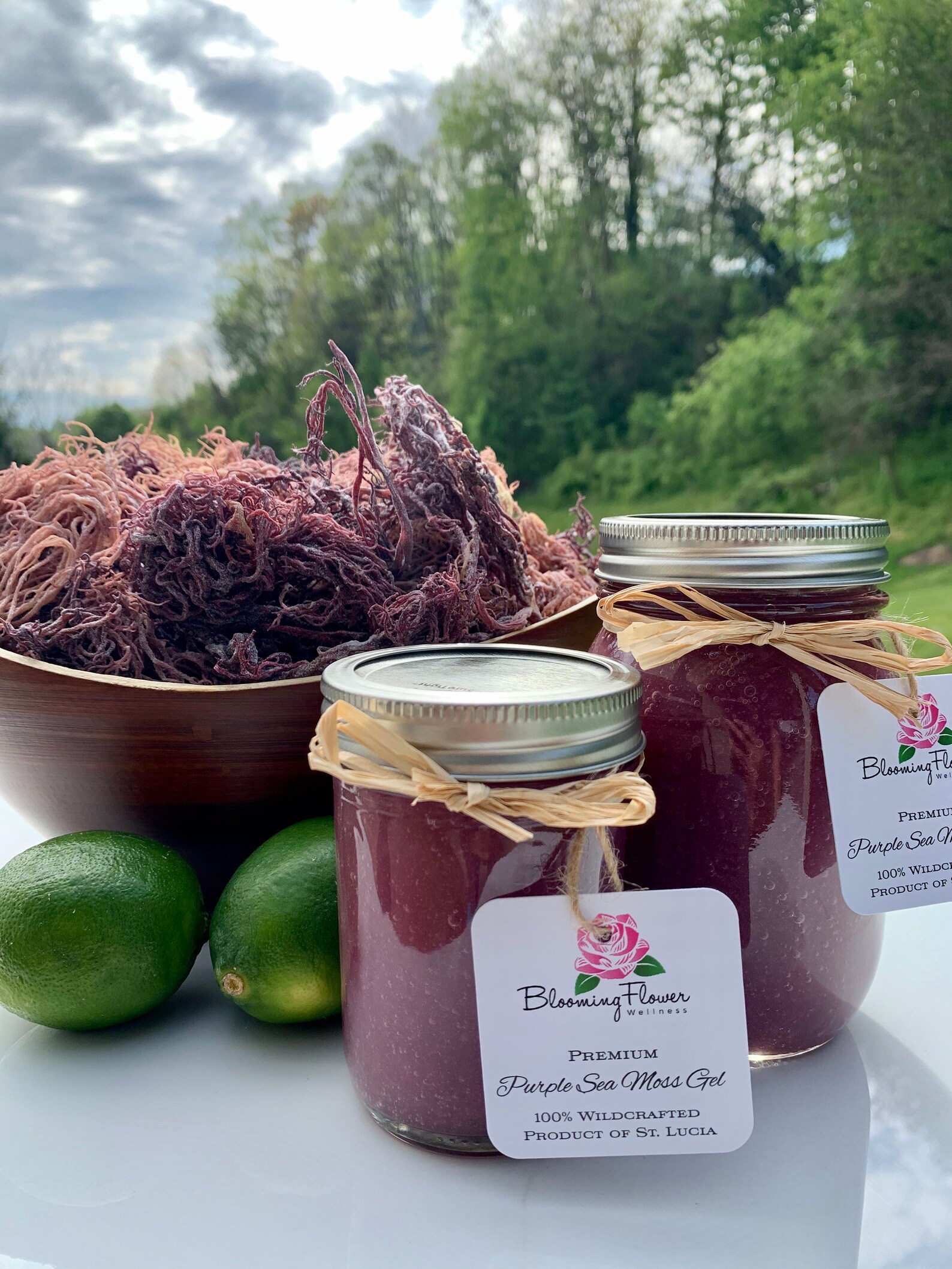 Purple Sea Moss Gel Etsy