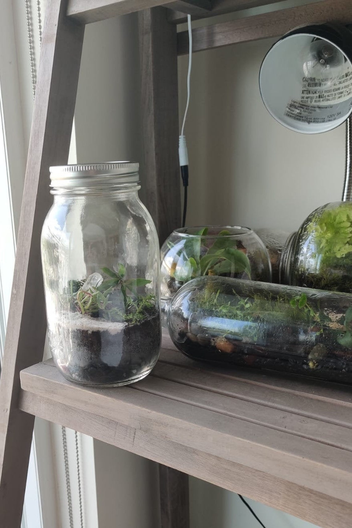 DIY Terrarium Kit Vertical. Everything You Need To Start Your Etsy
