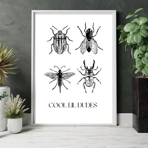 Cool Lil Dude Bug Insect Black and White Art A1 / A4 Poster Print ...