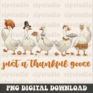 May include: A digital illustration featuring five cartoon geese dressed for Thanksgiving. Each goose is holding or wearing festive items like a turkey, pie, coffee, and autumn leaves. The text "just a thankful goose" is displayed below.