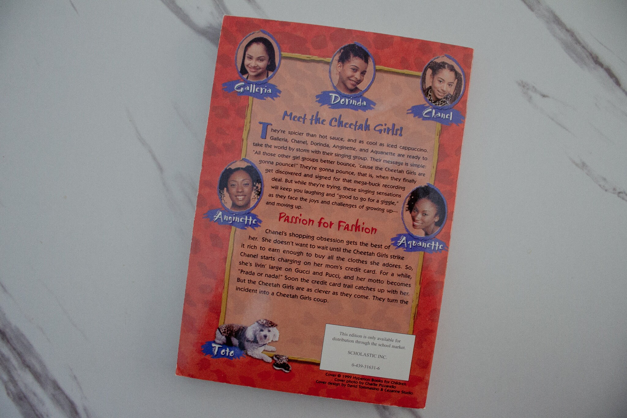 The Cheetah Girls Book 2 Shop In The Name Of Love Etsy